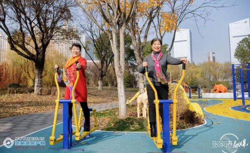 文明實踐新風尚，志愿服務譜新篇——張家港市文明實踐志愿服務主題公園建成投用